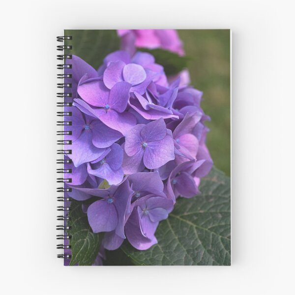 Item preview, Hydrangea In Mauves And Pinks designed and sold by Joy Watson - Natural Light Photography .