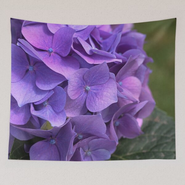 Item preview, Hydrangea In Mauves And Pinks designed and sold by Joy Watson - Natural Light Photography .