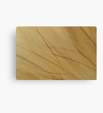 Furry Canvas Print