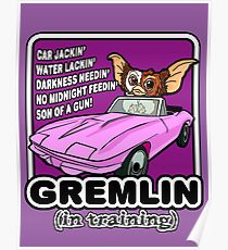Gremlins don't follow ALL the rules Poster