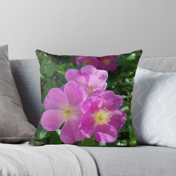 Item preview, Bright Pink Shrub Roses designed and sold by Kathleen Brant.