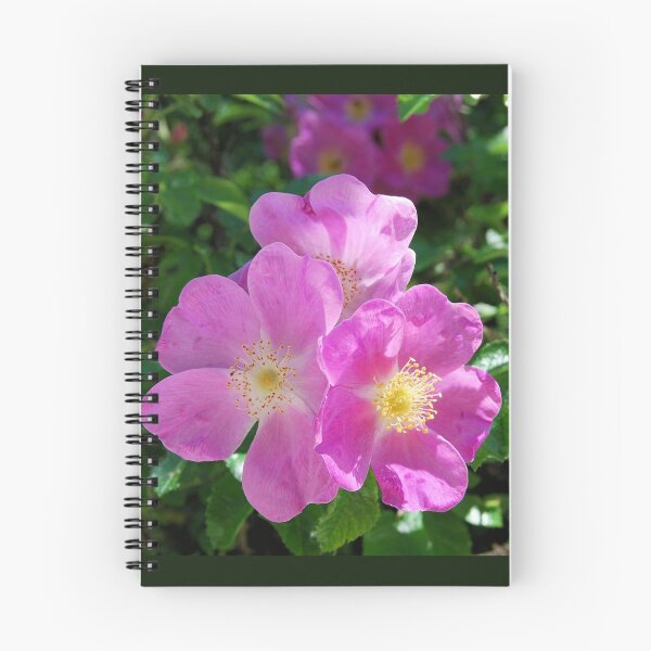 Item preview, Bright Pink Shrub Roses designed and sold by Kathleen Brant.