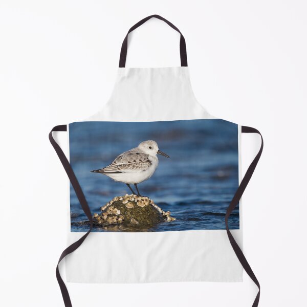 Item preview, Sanderling and barnacles designed and sold by Jukka Jantunen.