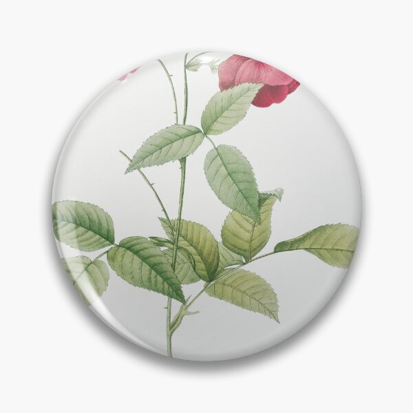 Item preview, Les Roses by Pierre-Joseph Redouté designed and sold by EsotericBotanic.