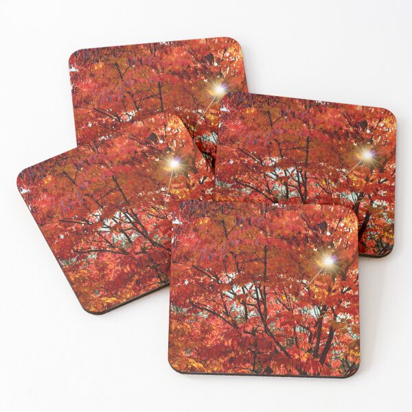 Item preview, Sun Through Autumn Leaves designed and sold by KPcaptures.