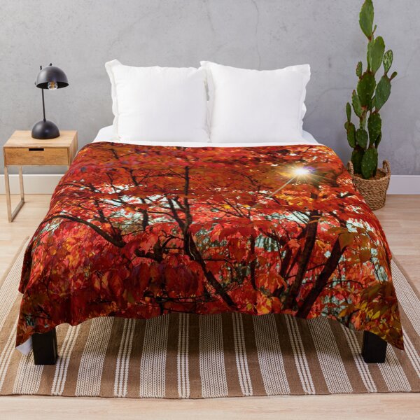 Item preview, Sun Through Autumn Leaves designed and sold by KPcaptures.