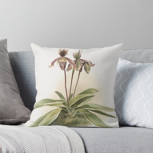 Item preview, Reichenbachia: Orchids Illustrated and Described designed and sold by EsotericBotanic.