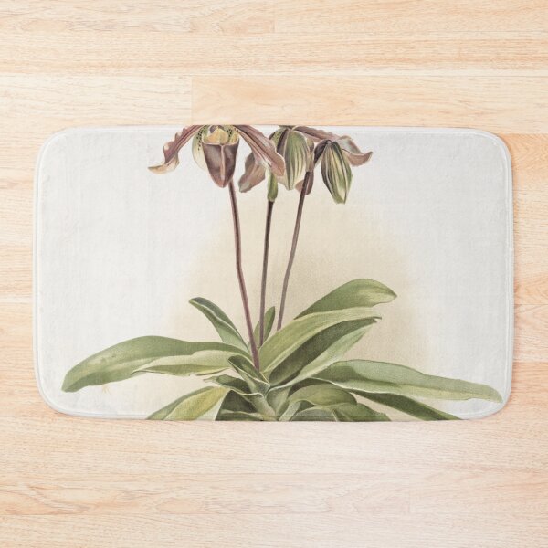 Item preview, Reichenbachia: Orchids Illustrated and Described designed and sold by EsotericBotanic.