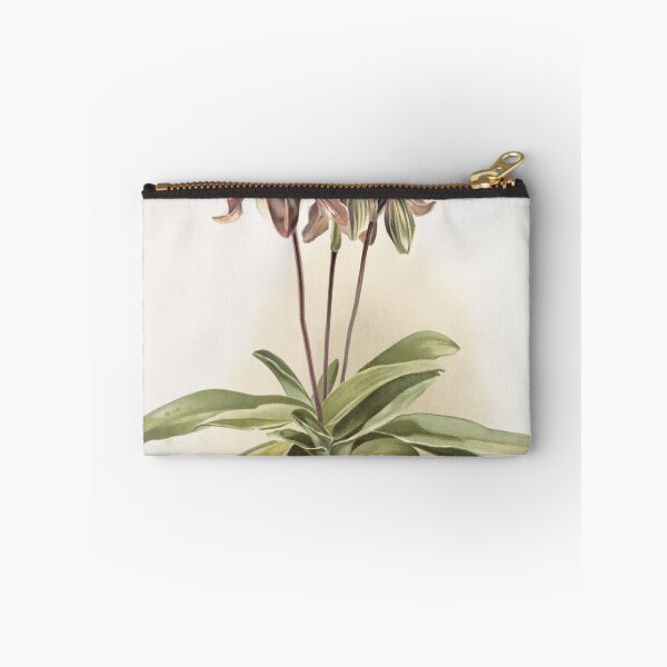 Item preview, Reichenbachia: Orchids Illustrated and Described designed and sold by EsotericBotanic.