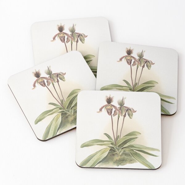 Item preview, Reichenbachia: Orchids Illustrated and Described designed and sold by EsotericBotanic.