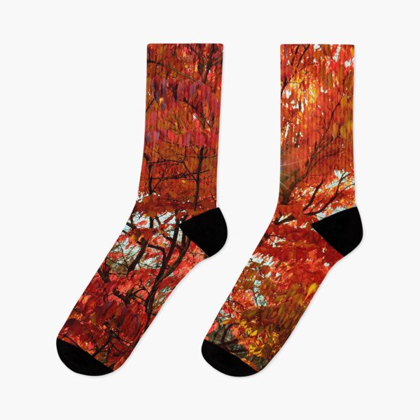 Item preview, Sun Through Autumn Leaves designed and sold by KPcaptures.
