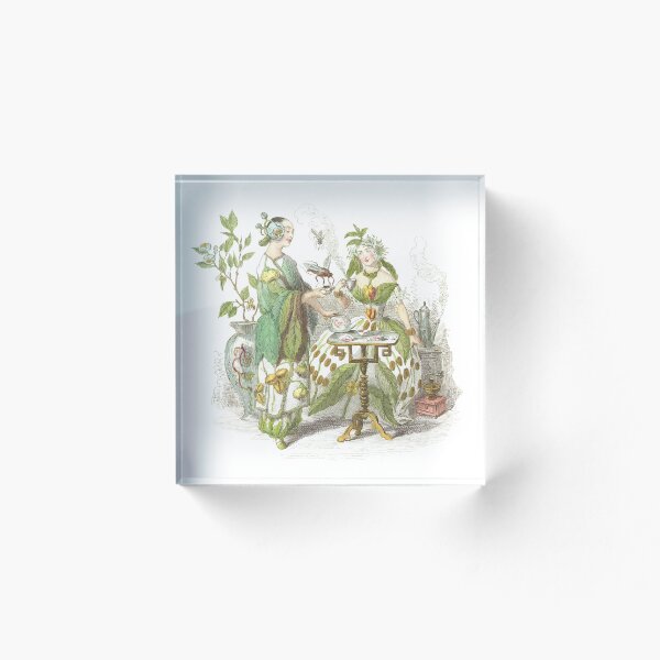 Item preview, J.J. Las hermanas del té y el café de Grandville, circa 1867 designed and sold by ebrawne.