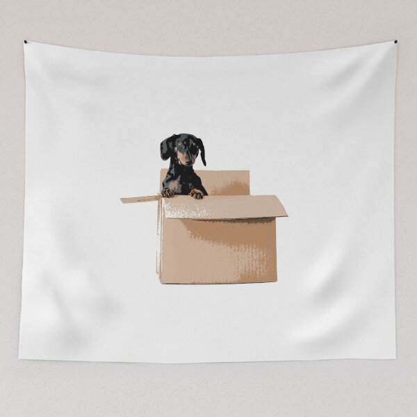 Item preview, Longhair Dachshund on a Box designed and sold by SocialStreet.