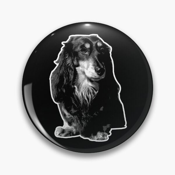 Item preview, Longhair Dachshund in Black and White designed and sold by SocialStreet.