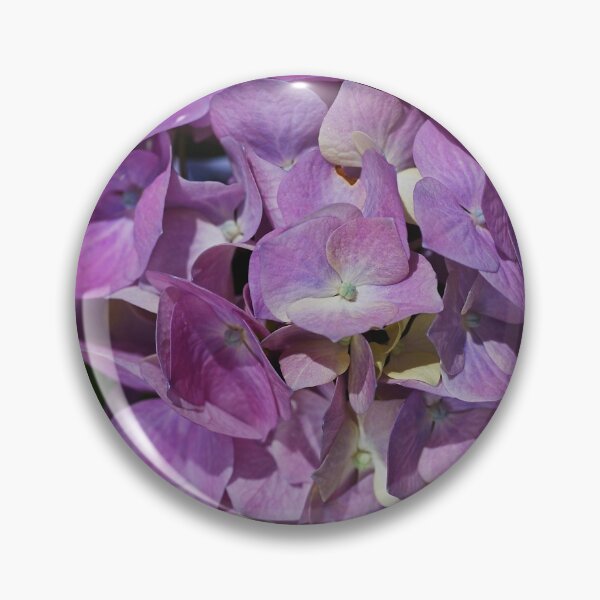 Item preview, Hydrangea With Perfect Pinks designed and sold by Joy Watson - Natural Light Photography .