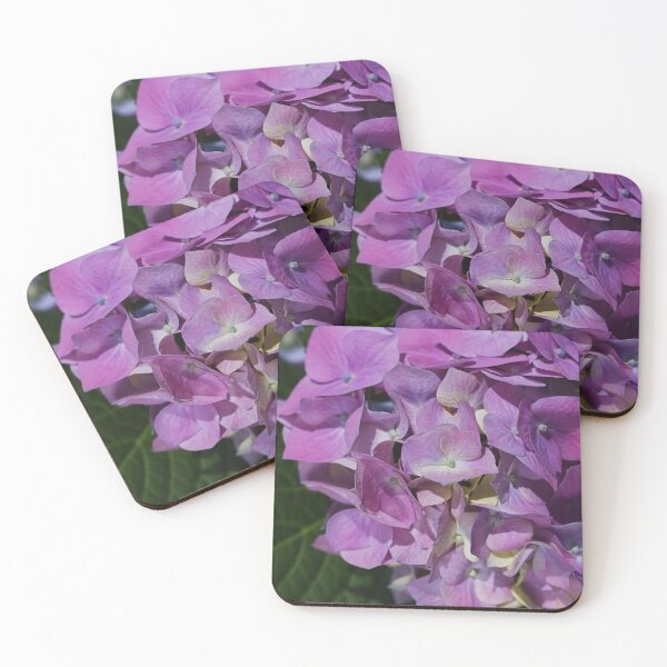 Item preview, Hydrangea With Perfect Pinks designed and sold by Joy Watson - Natural Light Photography .