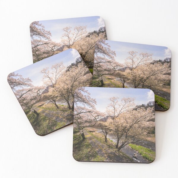 Item preview, Sakura strolling - Hakone - Japan designed and sold by Norman Repacholi | Keystone Photography.