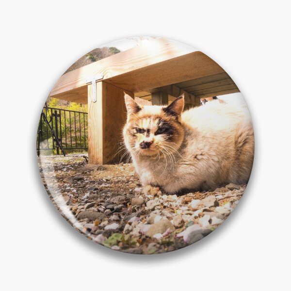 Item preview, Felines and falling blossoms - Sakura - Hakone Japan designed and sold by Norman Repacholi | Keystone Photography.