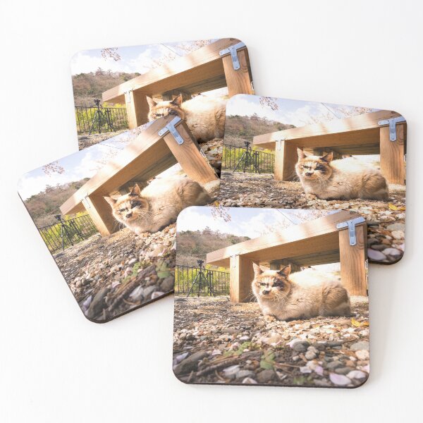 Item preview, Felines and falling blossoms - Sakura - Hakone Japan designed and sold by Norman Repacholi | Keystone Photography.