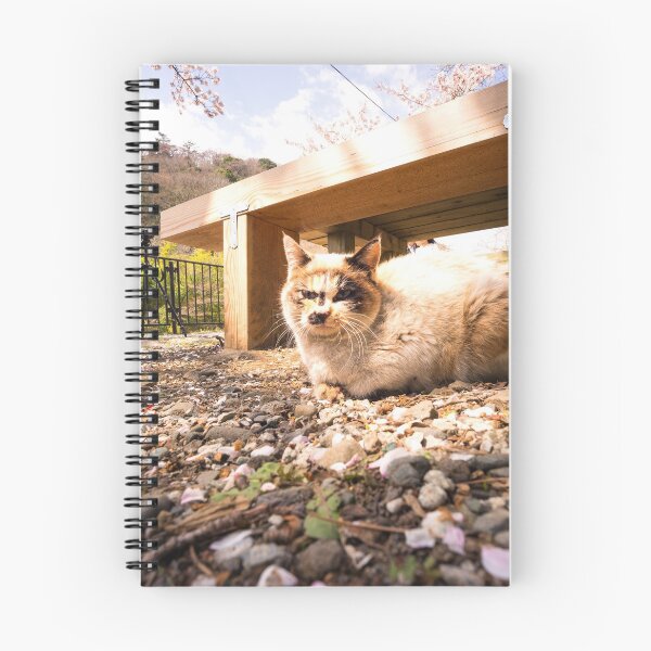 Item preview, Felines and falling blossoms - Sakura - Hakone Japan designed and sold by Norman Repacholi | Keystone Photography.