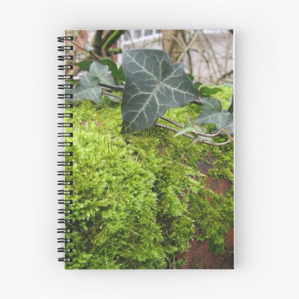 Item preview, Ivy And Moss designed and sold by lezvee.