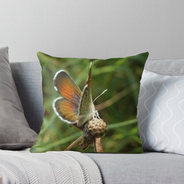 Item preview, Nope ,Not Going To Look! designed and sold by Carla Jensen.