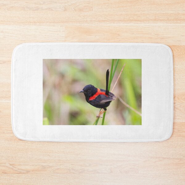 Item preview, Red-backed Fairy-wren designed and sold by Jukka Jantunen.