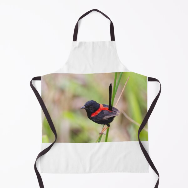 Item preview, Red-backed Fairy-wren designed and sold by Jukka Jantunen.