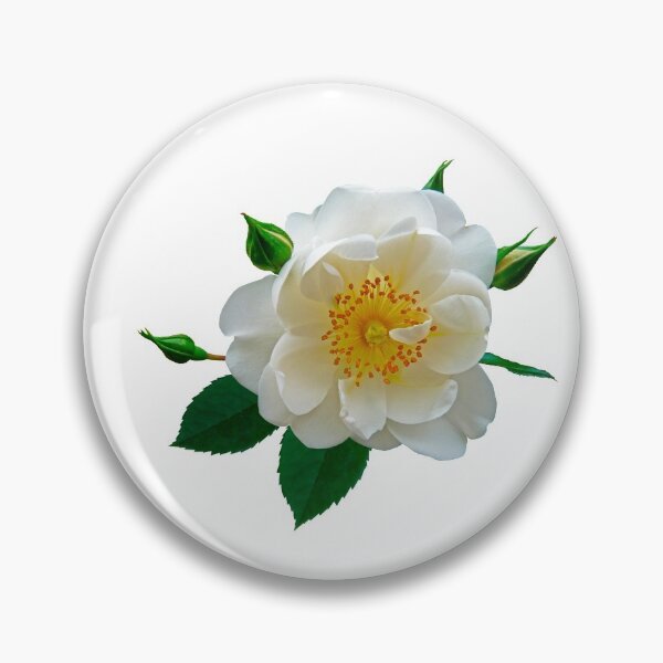 Item preview, Pretty White Roses designed and sold by E Creations.