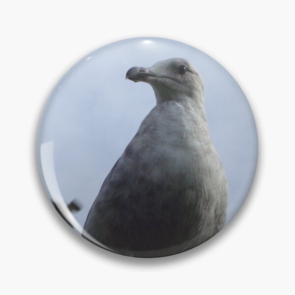 Item preview, Seagull: Bird of the Ocean, Begger of the French Fry designed and sold by ArtRoomOregon.