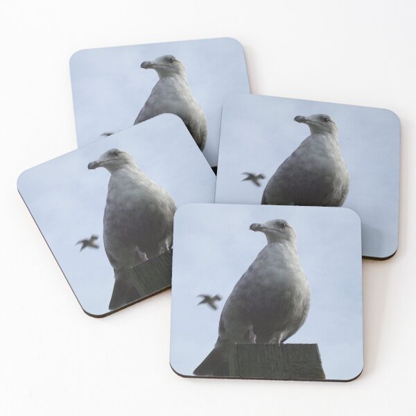 Item preview, Seagull: Bird of the Ocean, Begger of the French Fry designed and sold by ArtRoomOregon.