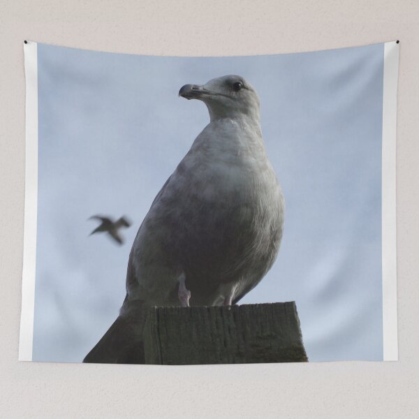Item preview, Seagull: Bird of the Ocean, Begger of the French Fry designed and sold by ArtRoomOregon.