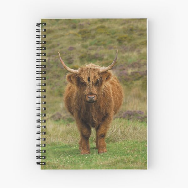 Item preview, Rugged Highland Cow designed and sold by rawshutterbug.