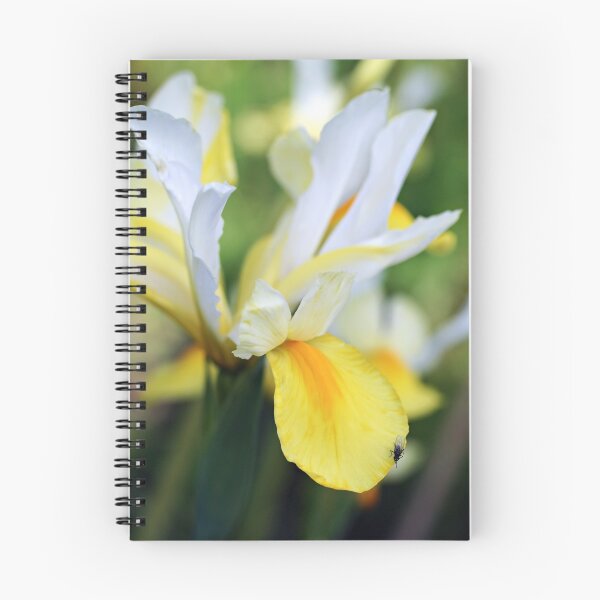Item preview, Iris hollandica designed and sold by Marta Jonina.