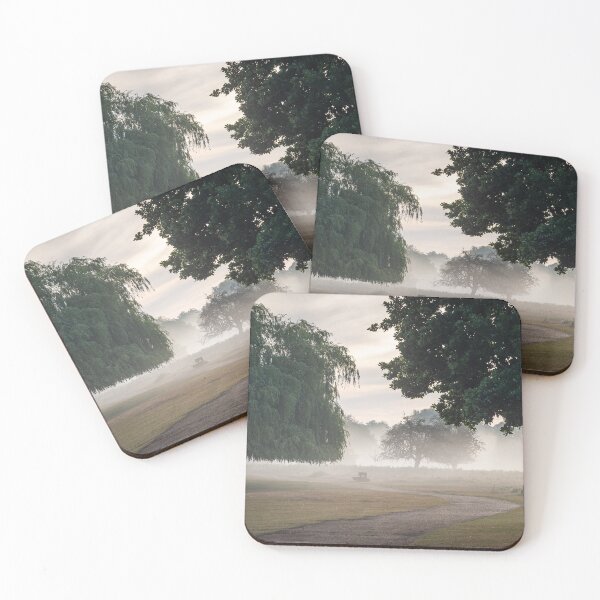 Item preview, Bushy Park designed and sold by Steve Liptrot Photography.