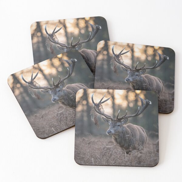 Item preview, Red Deer Stag designed and sold by Steve Liptrot Photography.