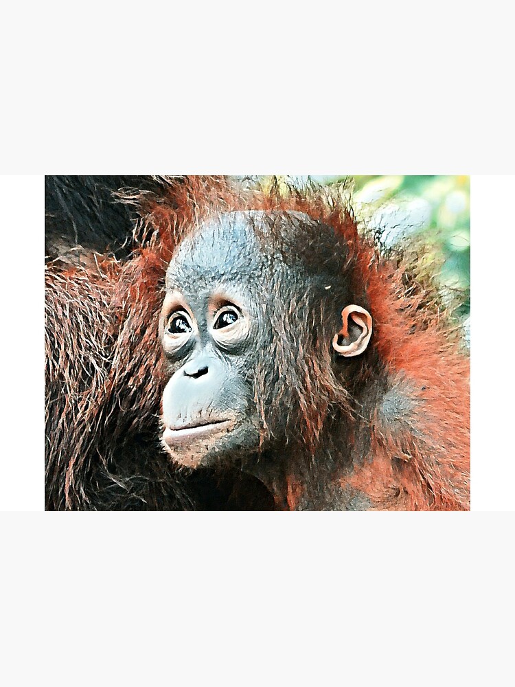 Thumbnail 2 of 2, Laptop Sleeve, Baby orangutan living in Tanjung Puting National Park designed and sold by OrangutanDad.
