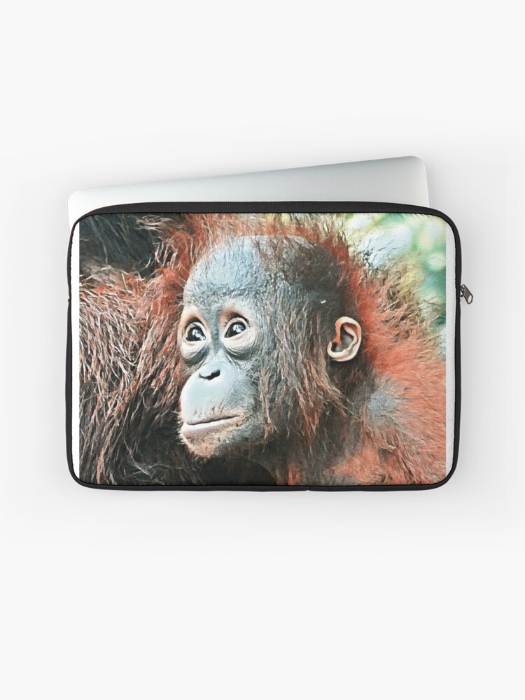 Thumbnail 1 of 2, Laptop Sleeve, Baby orangutan living in Tanjung Puting National Park designed and sold by OrangutanDad.