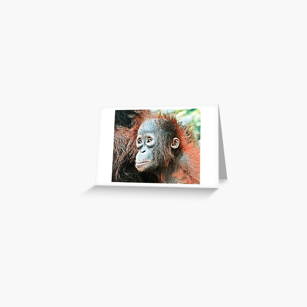 Item preview, Greeting Card designed and sold by OrangutanDad.