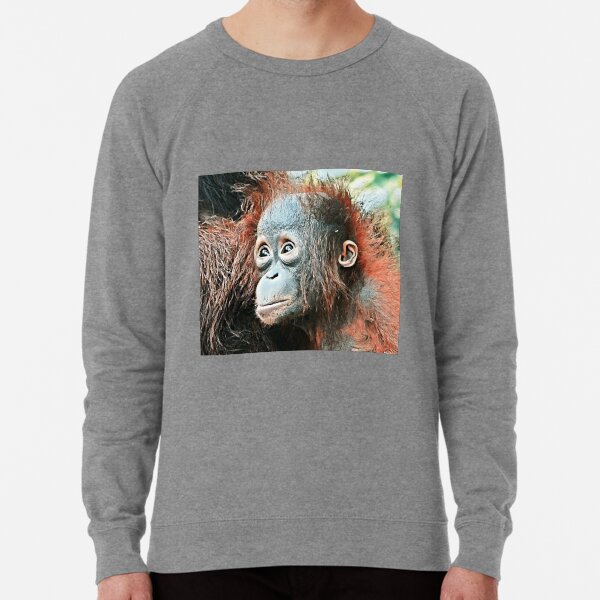 Baby orangutan living in Tanjung Puting National Park Lightweight Sweatshirt