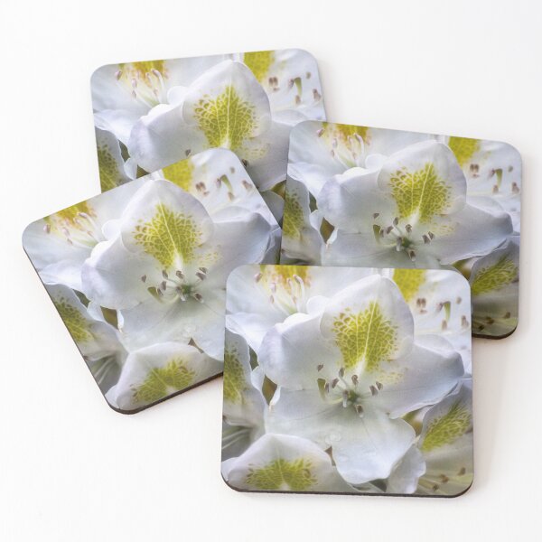 Item preview, White Azaleas designed and sold by Kathy Weaver.