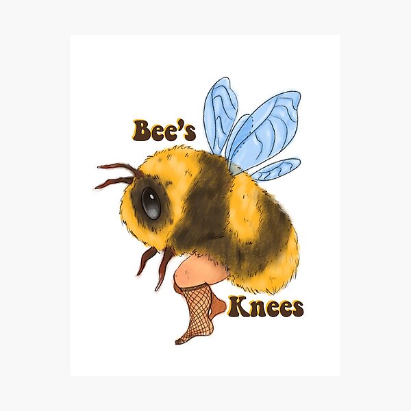 Bees Knees Cute Bee Idiom With Text Set Also Avaliable