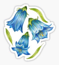 Bluebell Sticker