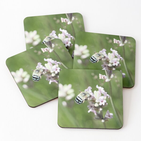 Item preview, Blue Banded Bee (Amegilla cingulata) feeding on lavender nectar designed and sold by NanaRusty.