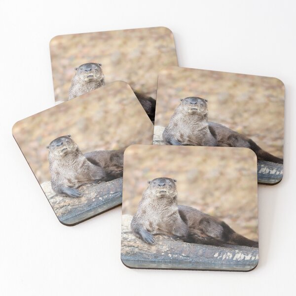 Item preview, Close up of a neotropical otter  designed and sold by dgwildlife.
