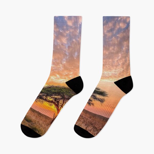 Item preview, sunset backside of tree designed and sold by 42youbest.