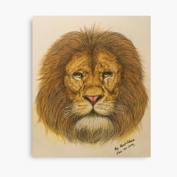 Regal Lion Drawing Canvas Print
