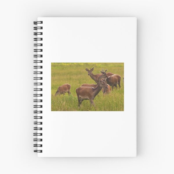 Item preview, Red Deer designed and sold by Johnny Griffin.
