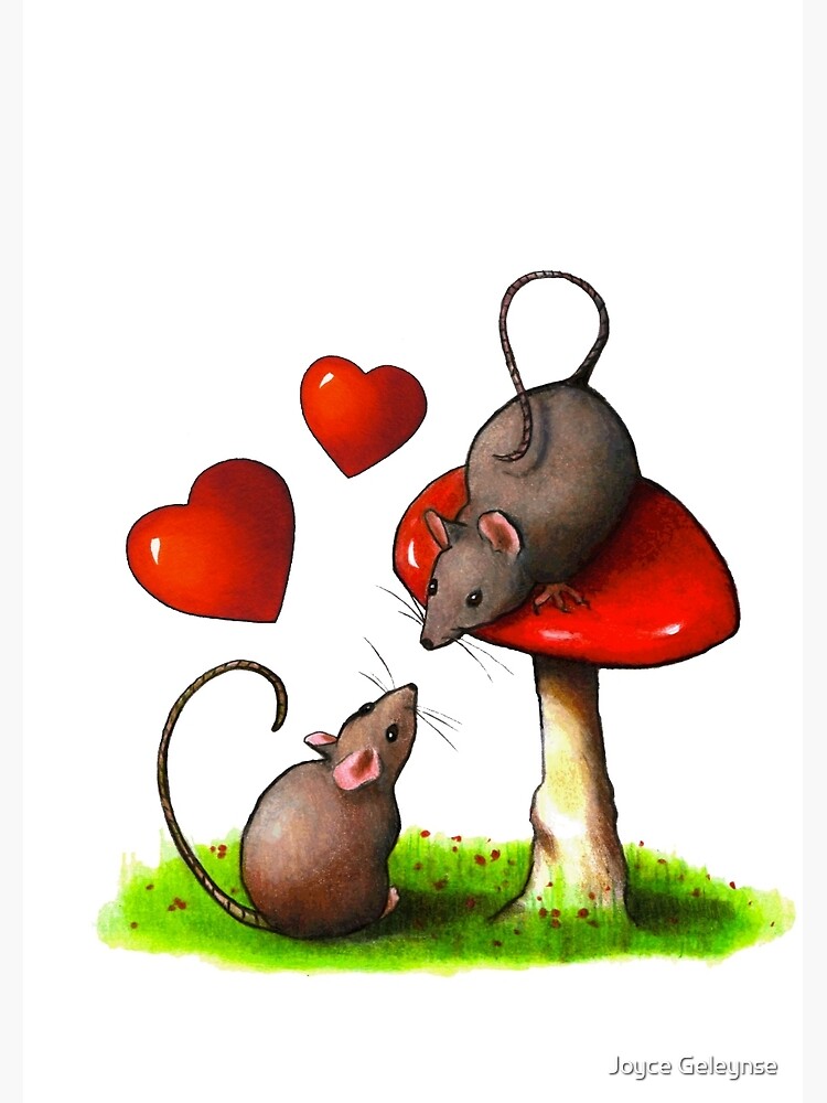 120 Alice ideas  cute love cartoons, love cartoon couple, cute cartoon  pictures