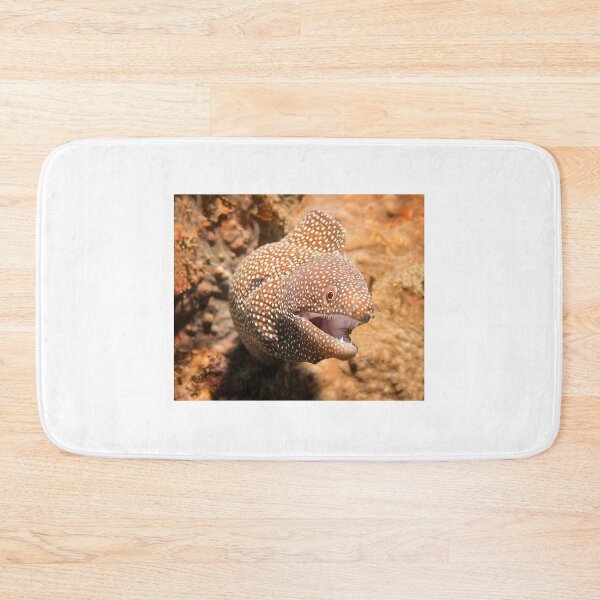 Item preview, White Mouth Moray Eel designed and sold by dvlcom.